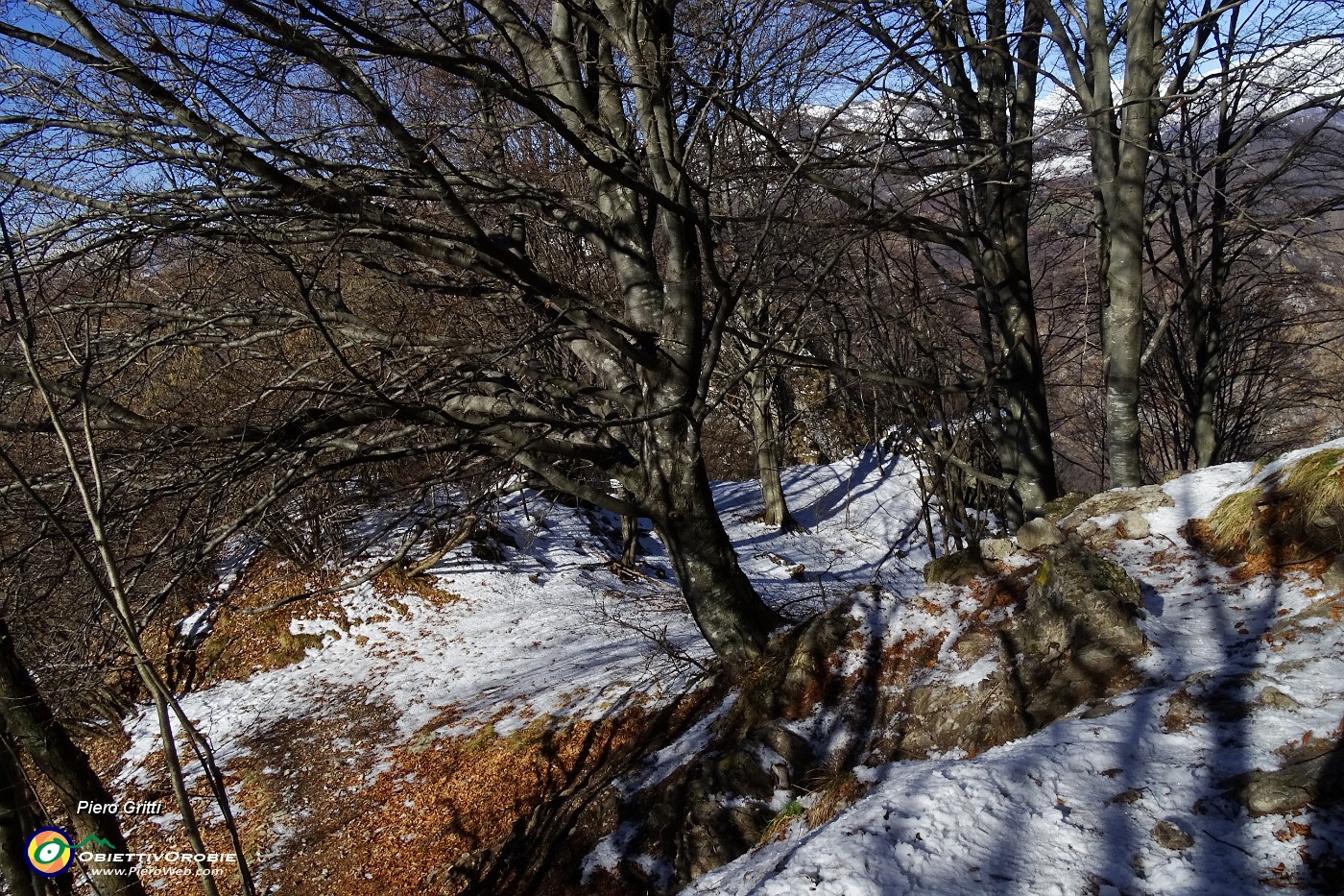 27 Salendo al Monte Zucco.JPG